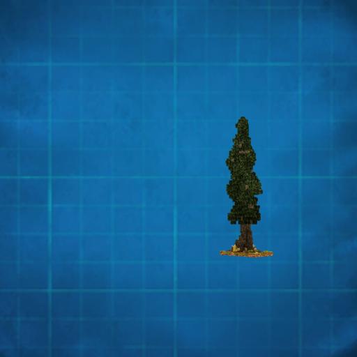 Medium Fir Tree