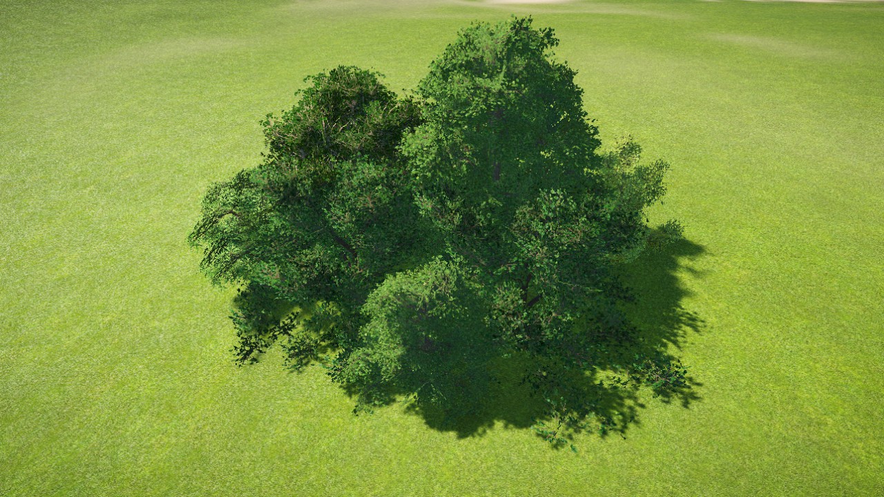 Tree Cluster 1 (Small)