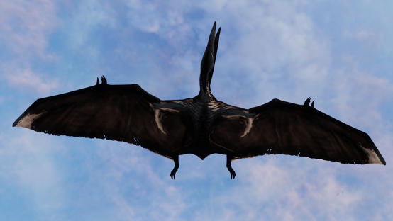 Manta Ray Tupa ~Free Drop~