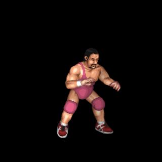 Animal Hamaguchi