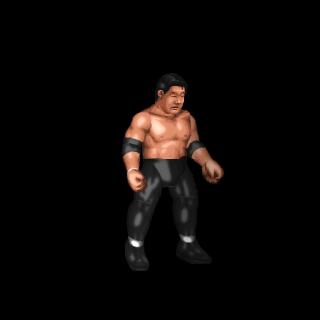 Don Fujii