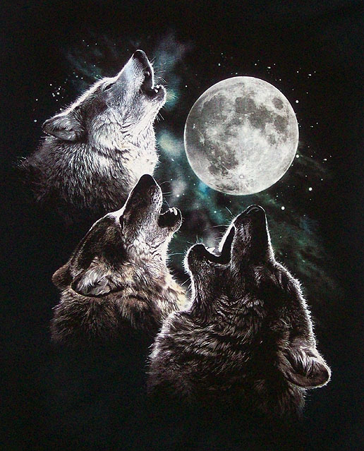 Soul Wolf Can Be Targeted By Summoner Skills