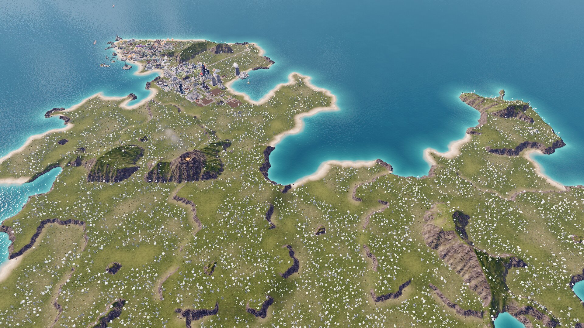 ワイシティ preview