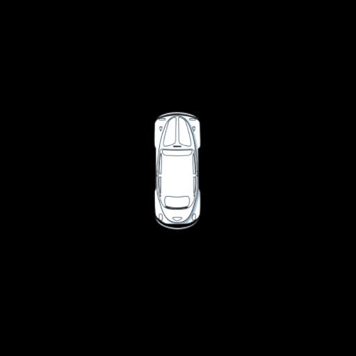 Beetle-car