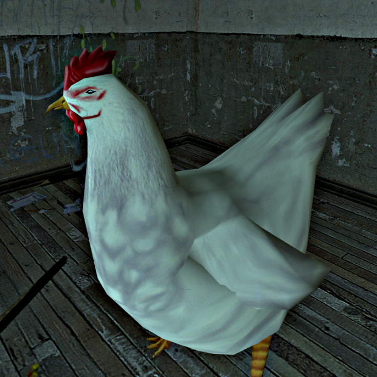 Chicken