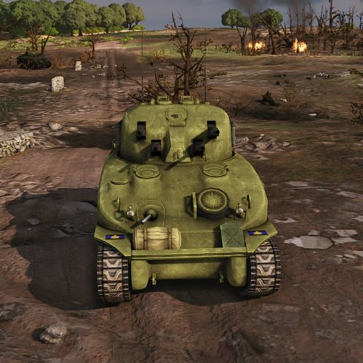 The Skink