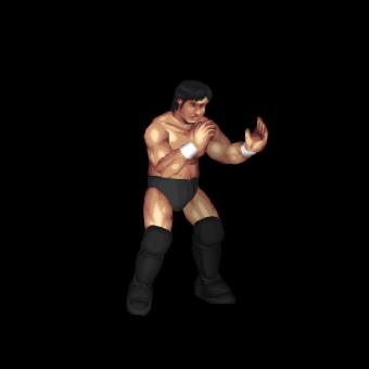 Katsuyori Shibata
