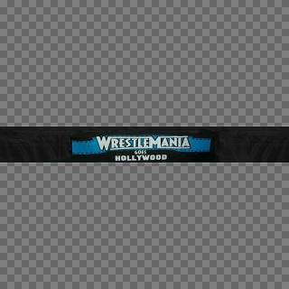 WrestleMania 21 Apron