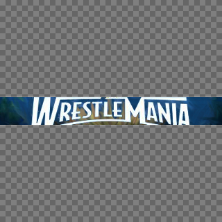 Wrestlemania XXIV Apron