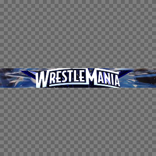 WrestleMania 25 Apron - Right