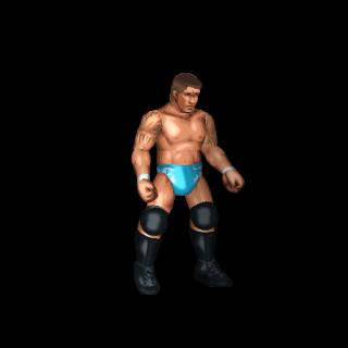 Randy Orton (Evolution)