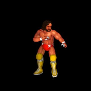 Randy Savage