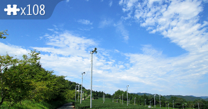 Summer day