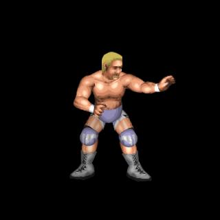 Jeff Jarrett