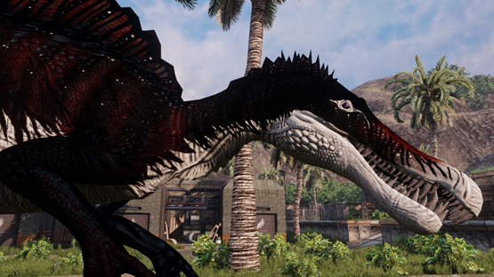 Royal Bloodstone Spino