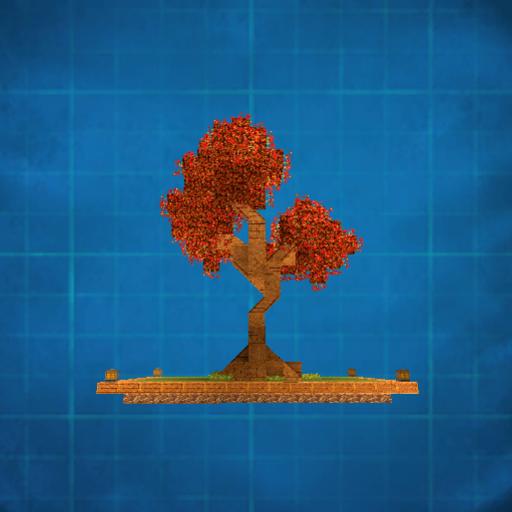 Japanese Maple Bonsai Tree