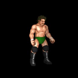 Bob Orton Jr.