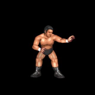 Tatsumi Fujinami