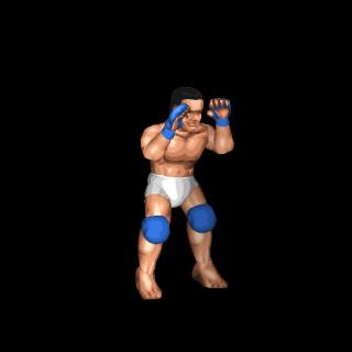 Renzo Gracie