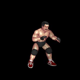 Dan Severn