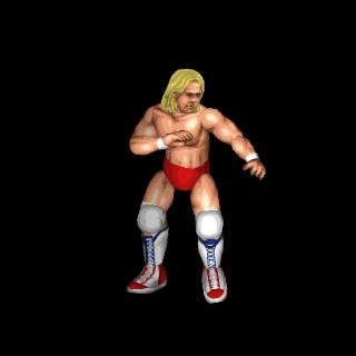 Barry Windham