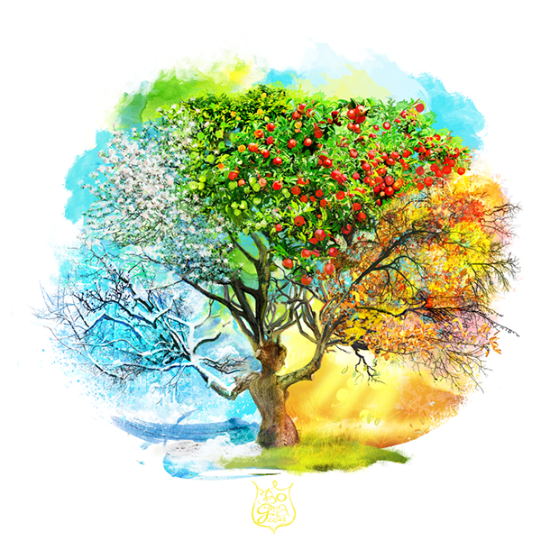 Seasons skin pack