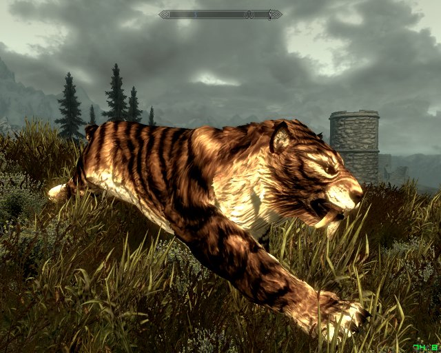 Skyrim - Carnivores preview