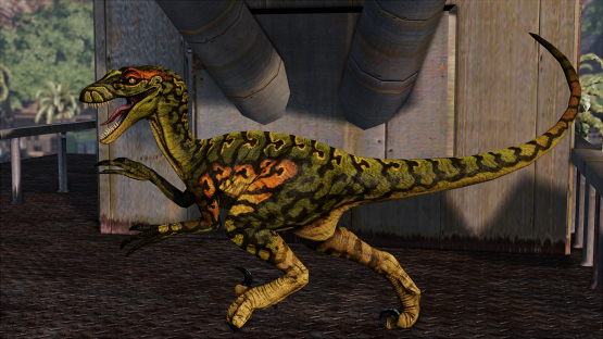 Tropics Novaraptor