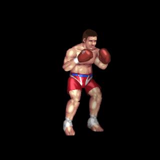 (FPR) Peter Aerts
