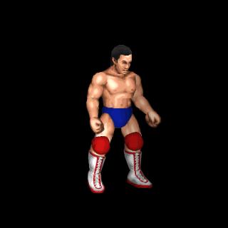 Mike Rotundo