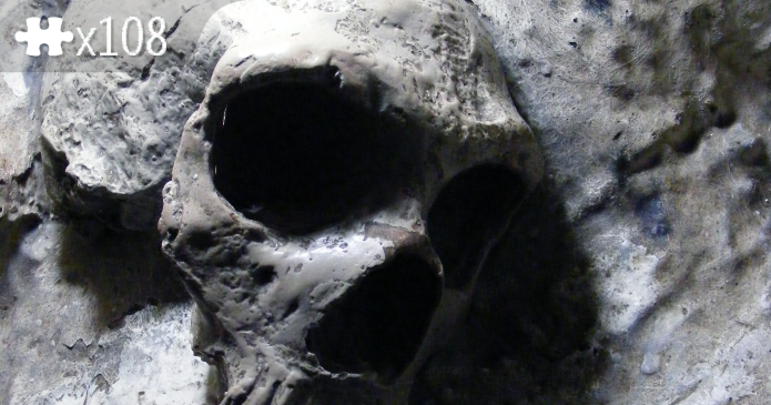 Skull