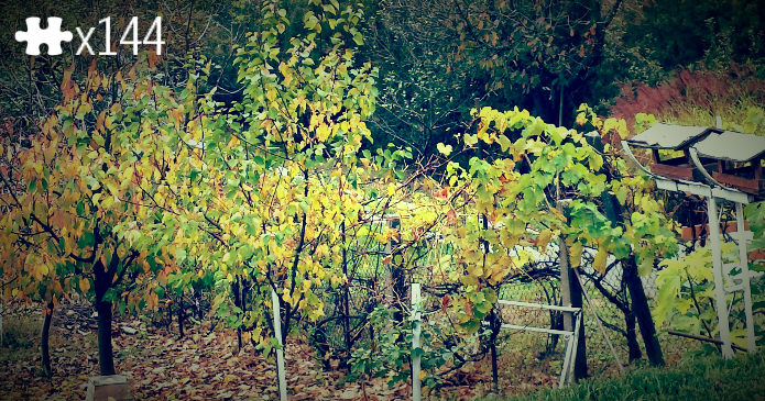 Autumn
