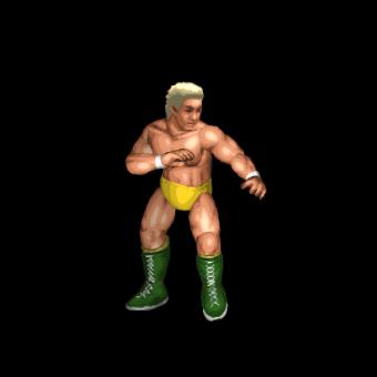 Ron Garvin