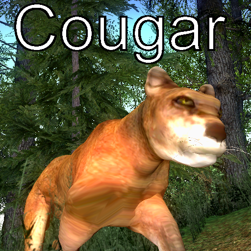 Cougar