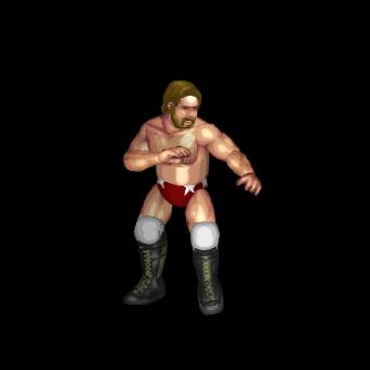 Ole Anderson