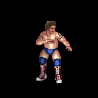 Harley Race