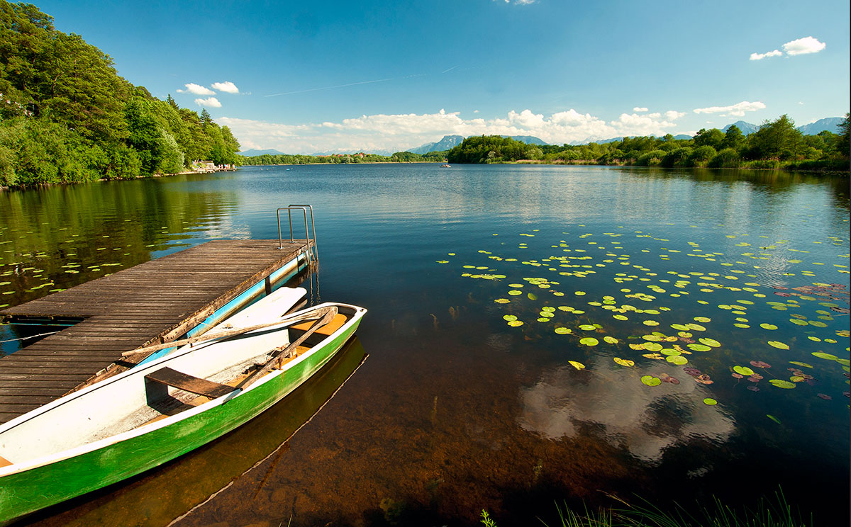 Der See