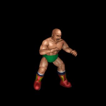 Iron Sheik