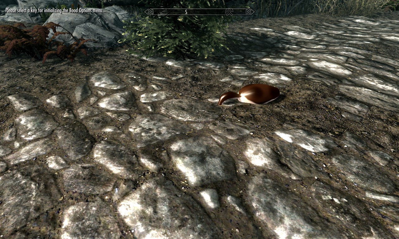 Jelly Weasel Pet