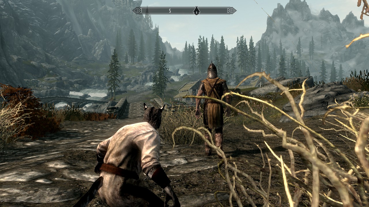 Khajiit Alternate: Sneakery and Unarmed