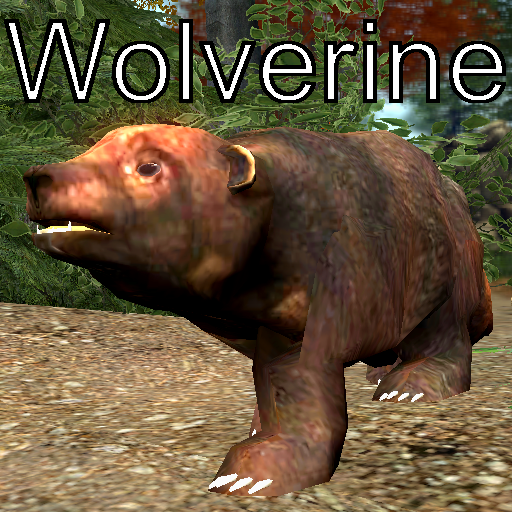 Wolverine