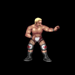 Jeff Jarrett