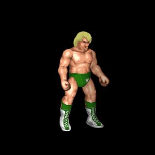 Ric Flair
