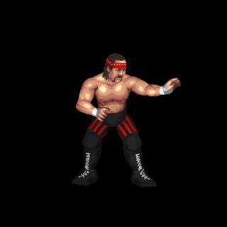 Terry Funk