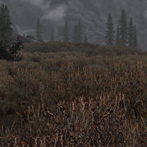 Double Grass Density