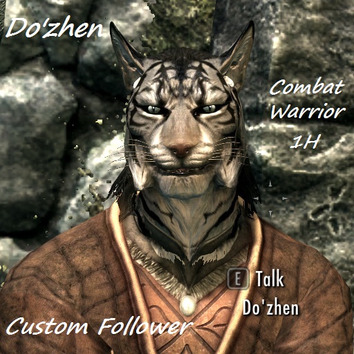 Do'zhen - Follower