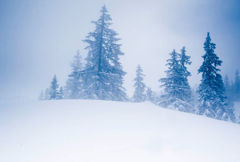 The Palace of Snow