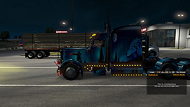 Northernlights Wolf Skin