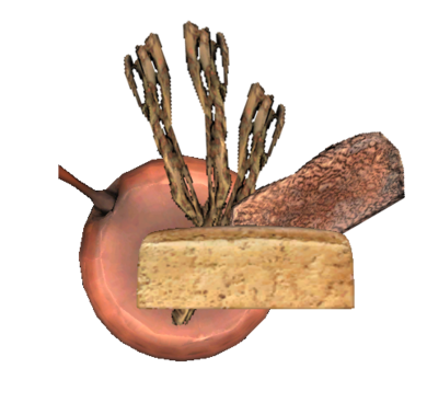 san pedro cactus care San Pedro Cactus main image 1