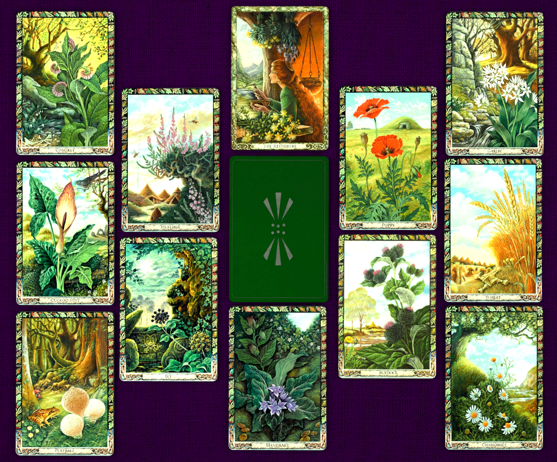 Druid Plant Oracle